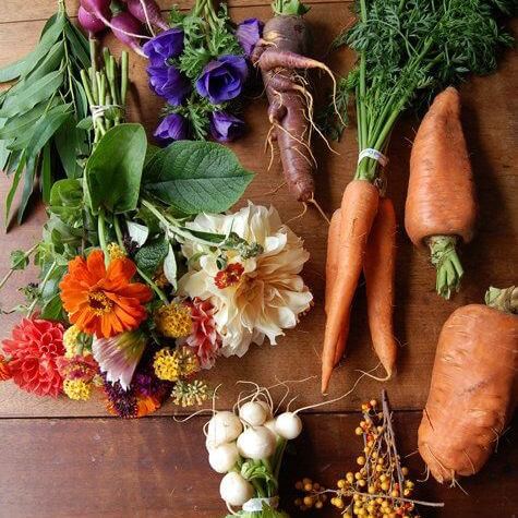 Garden.jpg